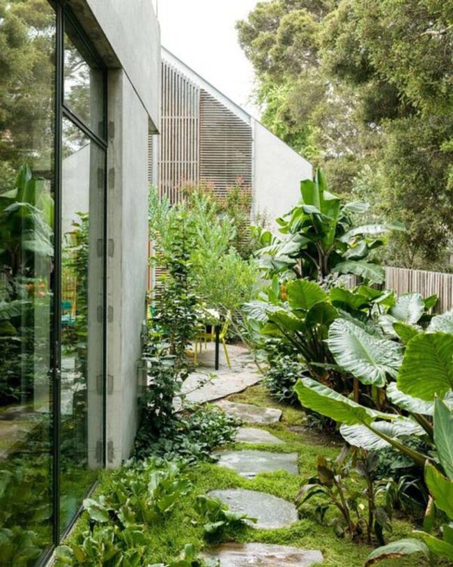 Verdant Concrete Jungle Garden Escape