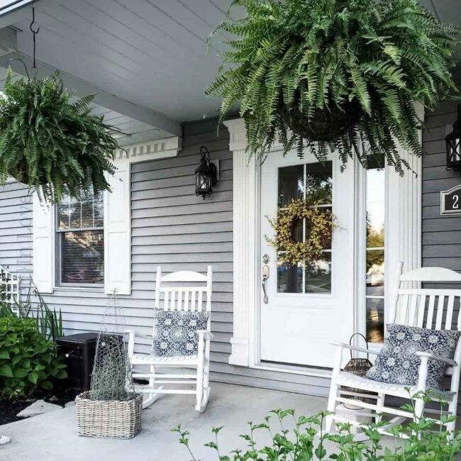 Green Ferns Brighten Gray Porch Haven