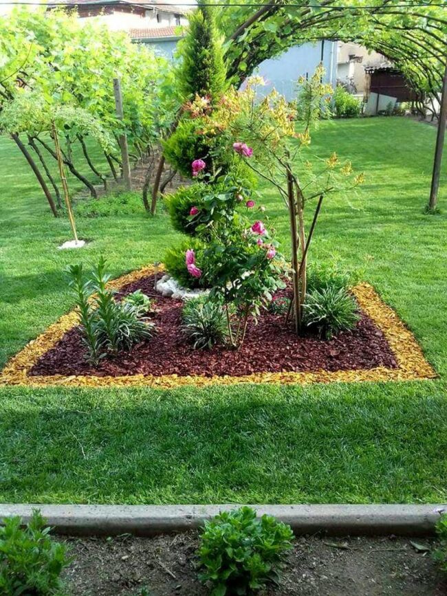 Color-Split Garden Precision Landscaping
