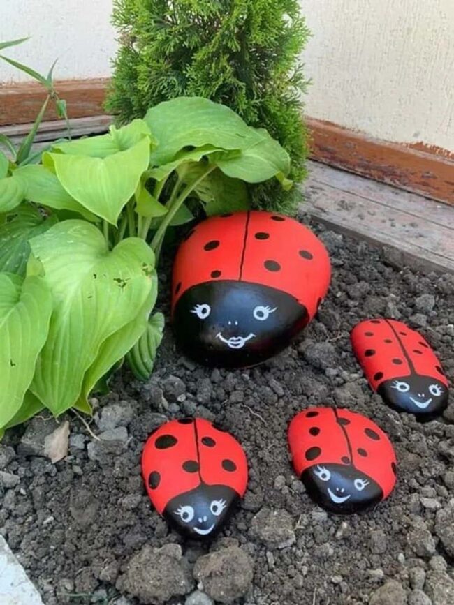 Magenta Chard Weaves Urban Garden