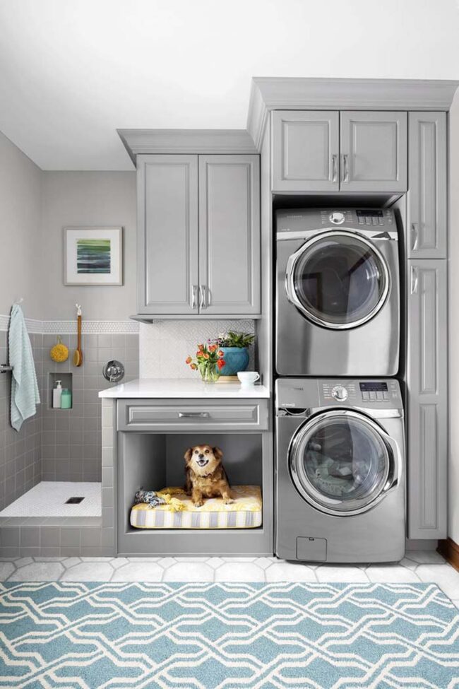 Functional Pet Paradise Meets Laundry