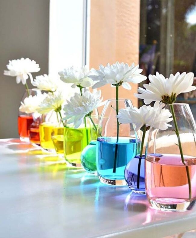 Chromatic Blossoms Dancing in Glass