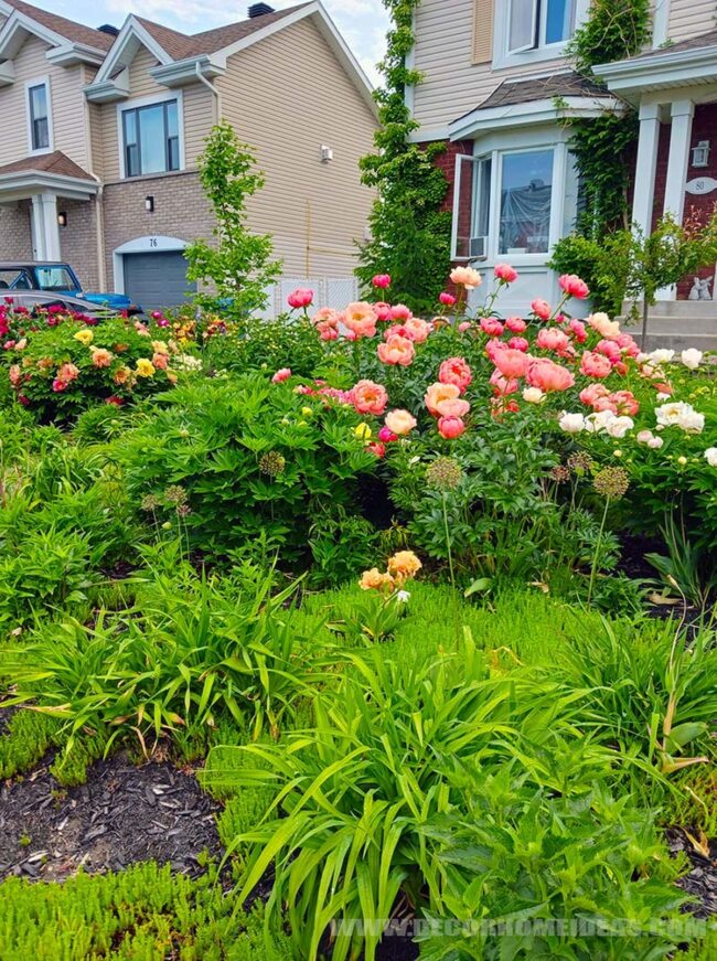 Whimsical Garden Palette of Blooming Magic