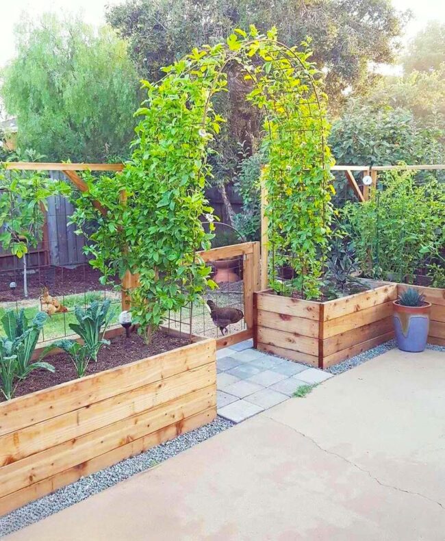 Green Archway Garden Sanctuary Path