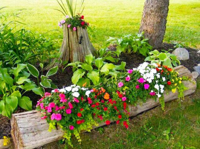 Wooden Stump Garden Blooming Paradise