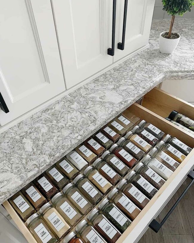 Monochrome Spice Symphony Black Hardware Shine