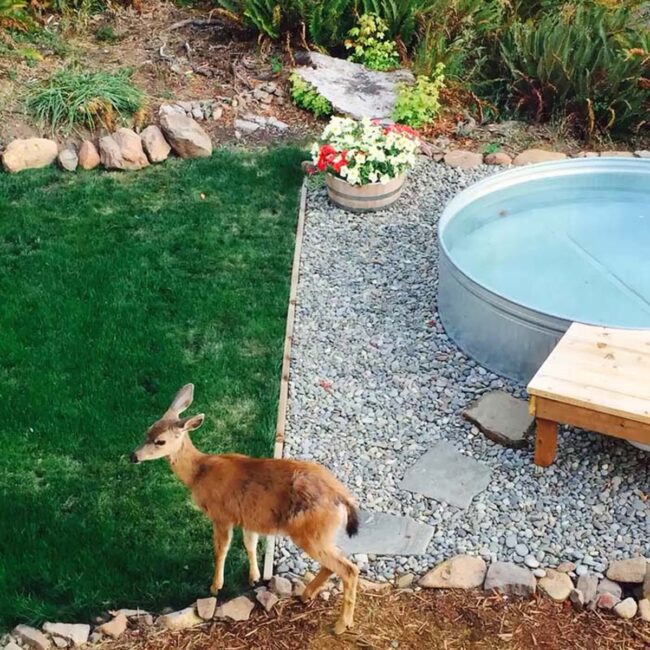 Green Waters Flowing Natural Landscape