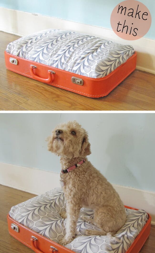 Vintage Wanderlust Pet Sanctuary