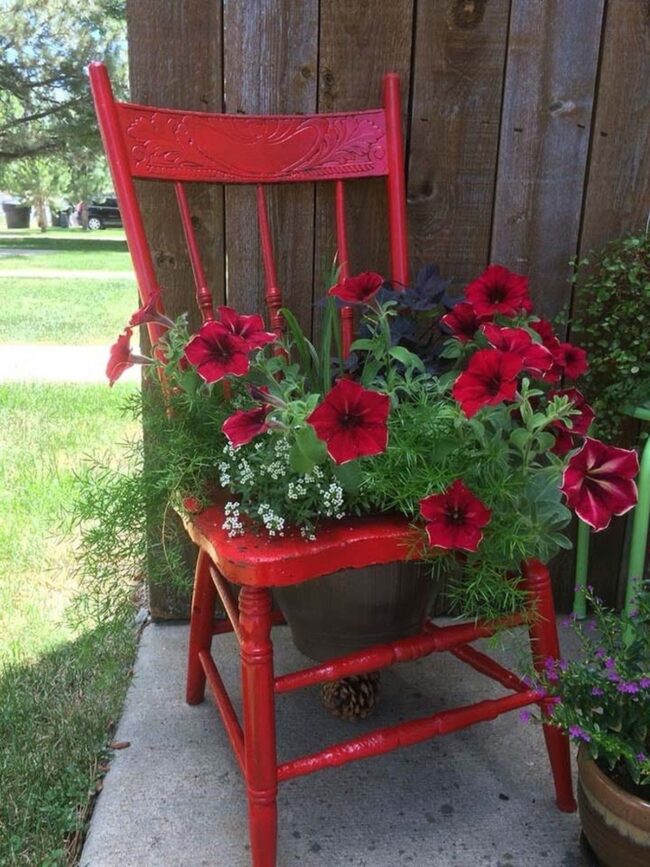 Weathered Chair Blooms Garden Sanctuary
