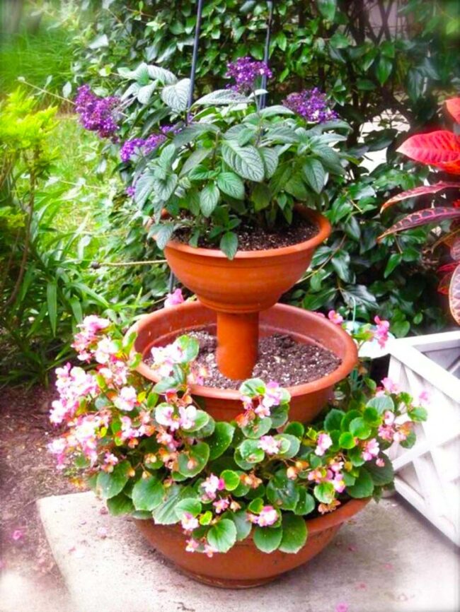 Green Cascade: Vertical Garden Symphony