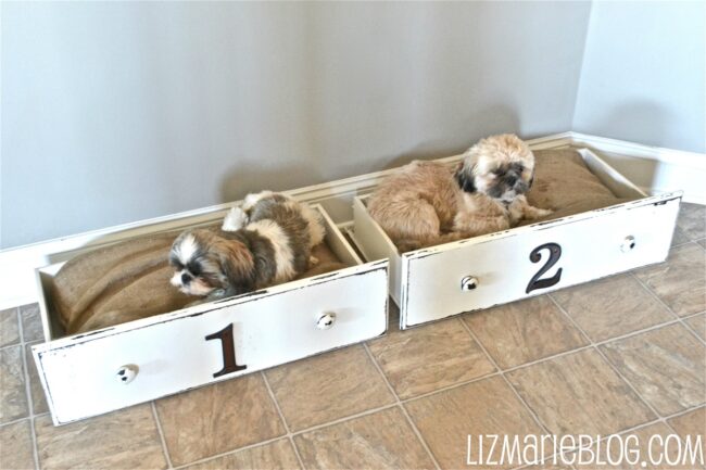 Vintage Drawer Dog Havens