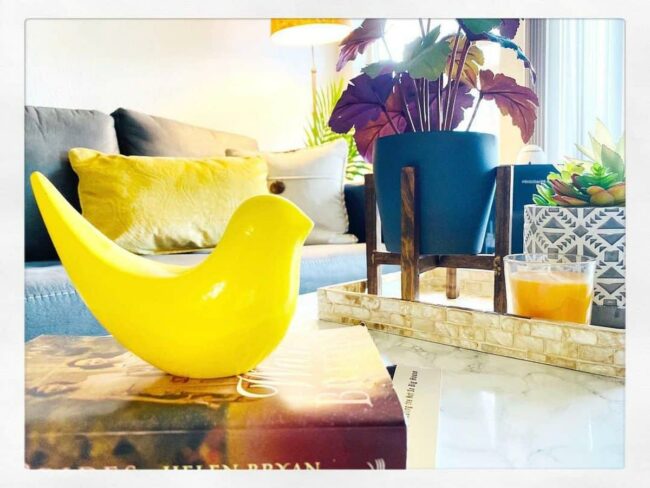 Colorful Boho Botanicals Tabletop Wonder