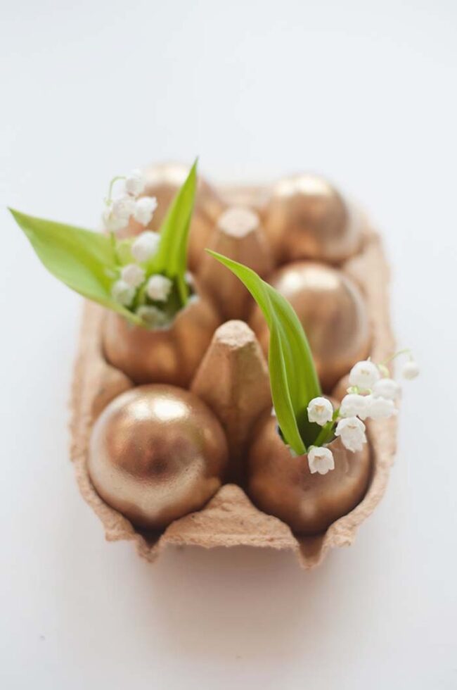 Golden Blossoms Nestled in Shells