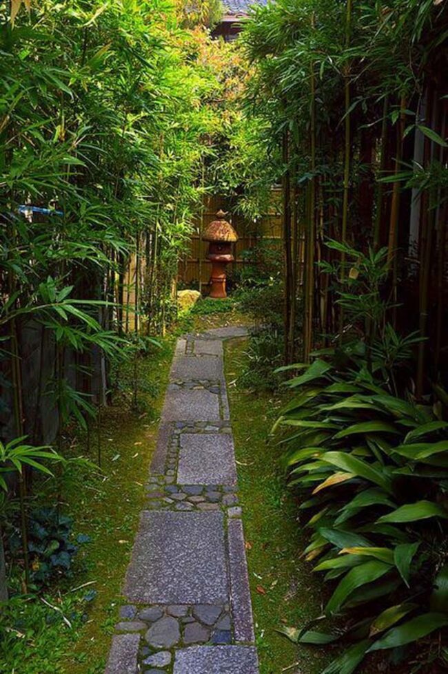 Green Bamboo Sanctuary Path Whispers