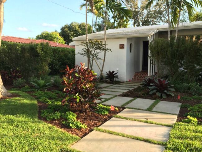 Gray Concrete Path Meets Green