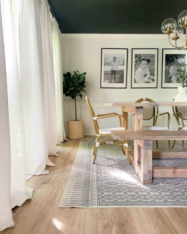 Monochrome Frames Dancing Softly