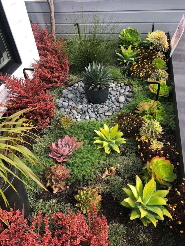 Stone Symphony Desert Green Sanctuary