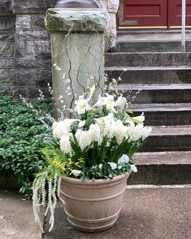 White Garden Symphony of Soft Petals