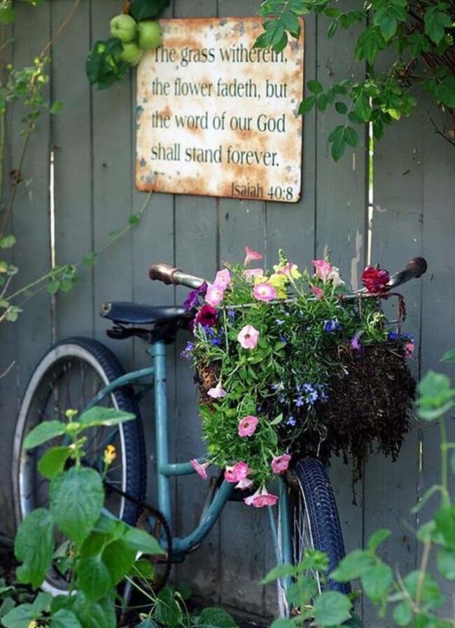 Vintage Bike Blossoming Garden Canvas