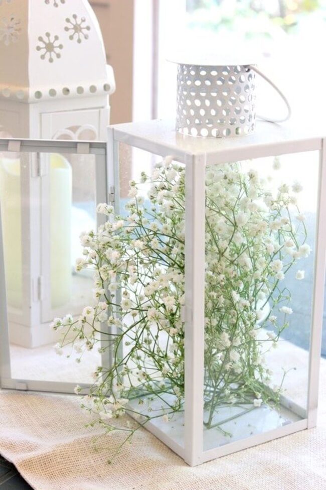Sunlit Lantern Baby's Breath Magic