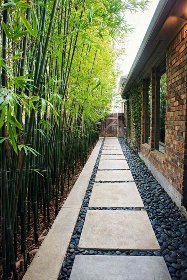 Green Bamboo Sanctuary Emerges Quietly