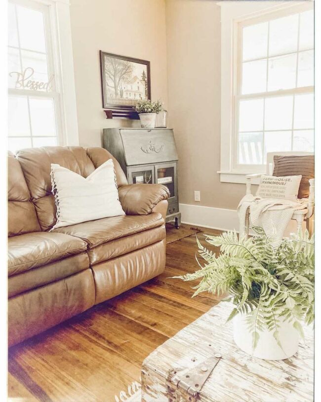 Leather Throne Meets Weathered Wood