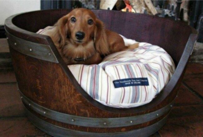 Rustic Barrel Sanctuary for Pups