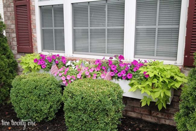 Green Frames: Window's Floral Embrace