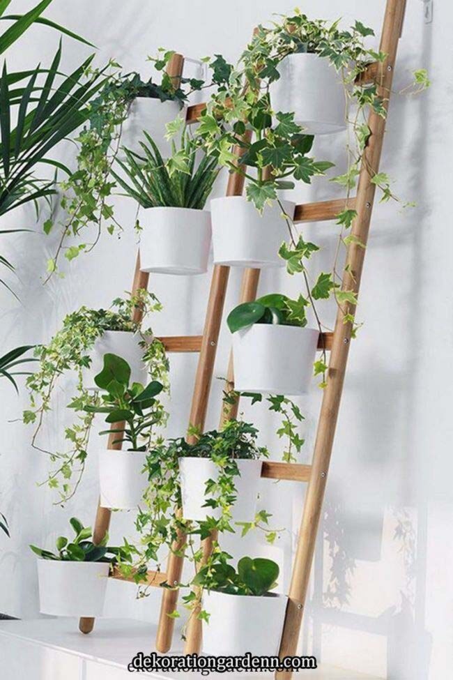 Garden Ladders Used as Planters