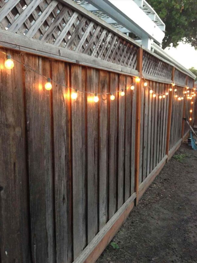 Golden Bulbs Dancing on Wooden Fence