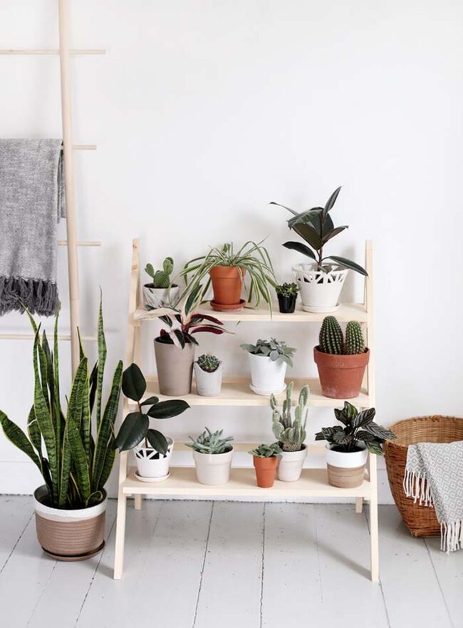 Wooden Ladder Planter Nature's Indoor Accent