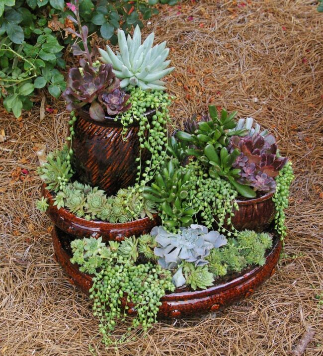 Terracotta Succulent Tower Cascade