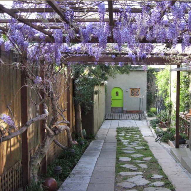 Wisteria Path: Purple Garden Sanctuary