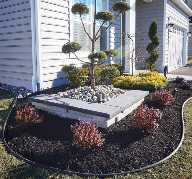 Crimson Shrubs Shock White Homes