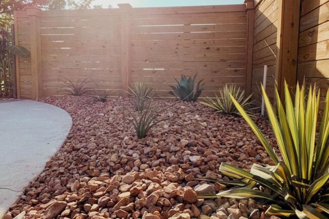 Desert Green Sculptural Succulent Collection