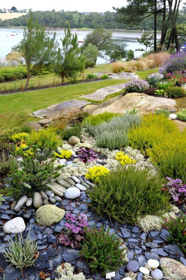 Green Water Path Landscaping Wisdom