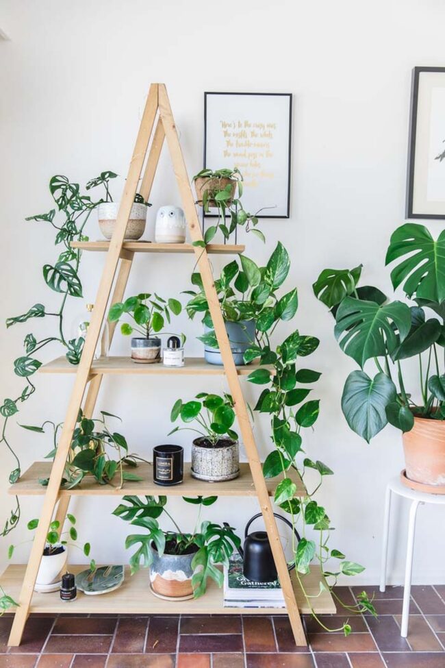 Green Vertical Haven Wooden Ladder