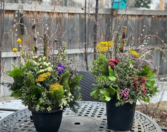 Green Textural Symphony Garden Ensemble