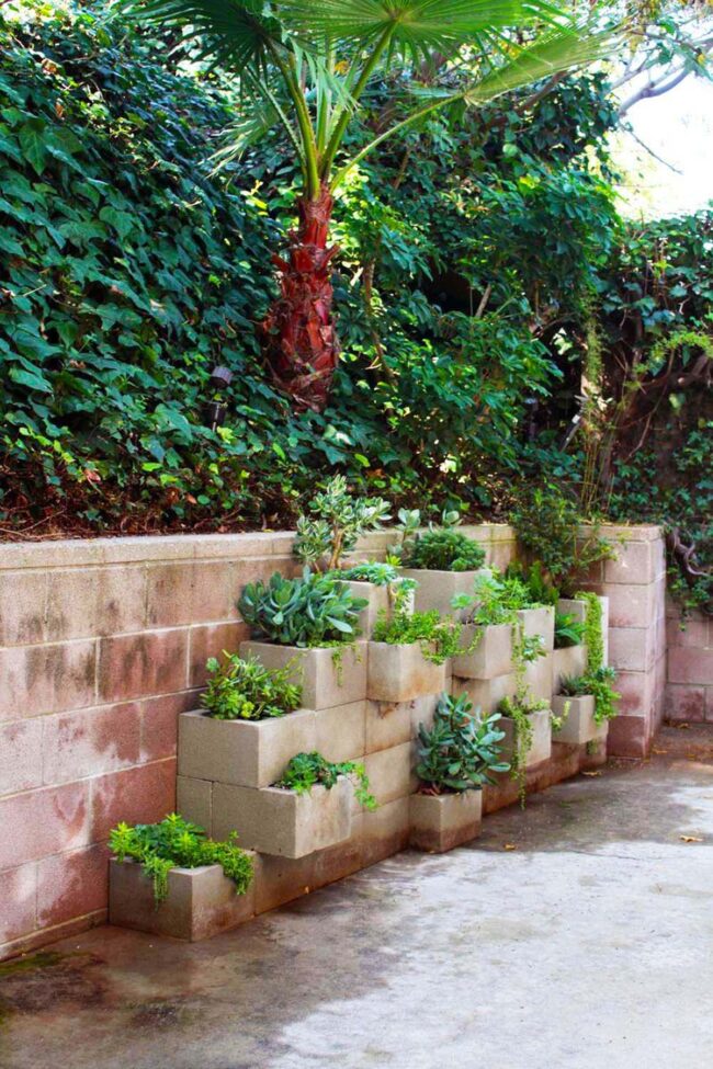 Urban Succulent Sanctuary Cinderblock Canvas