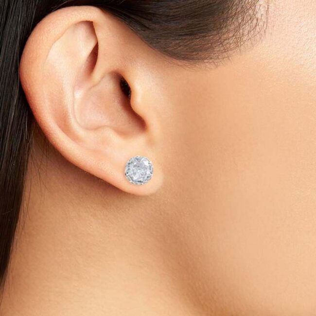 Silver Sparkle Petite Earring Stunners