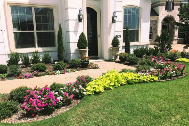 Perennial Palette: Lasting Garden Charm