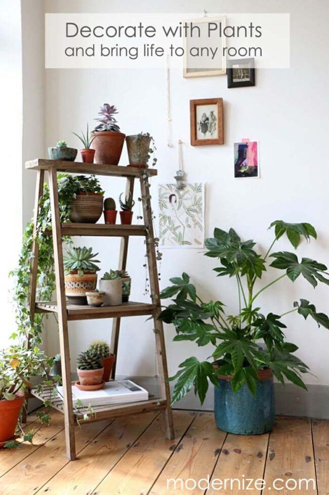 Green Vertical Haven Ceramic Stands