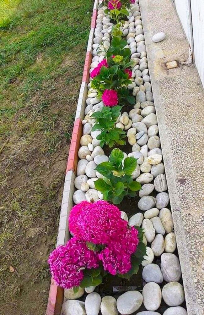 White Pebbles Frame Hydrangea Symphony