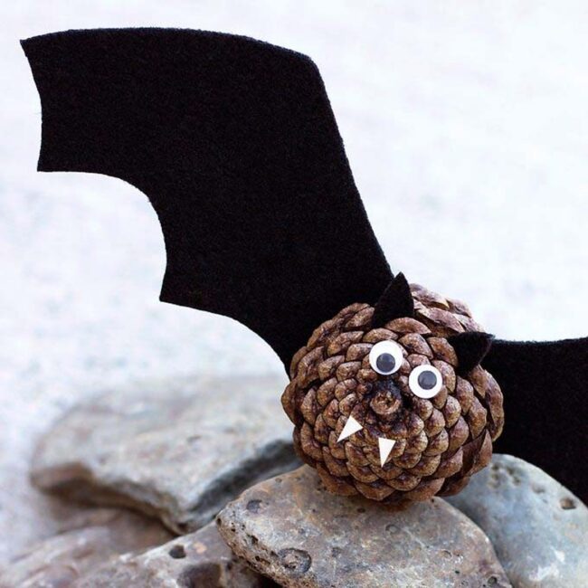 Woodland Bats Dancing on Pinecones