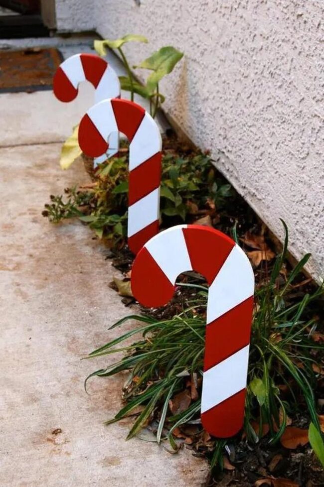 Red White Stripes Garden