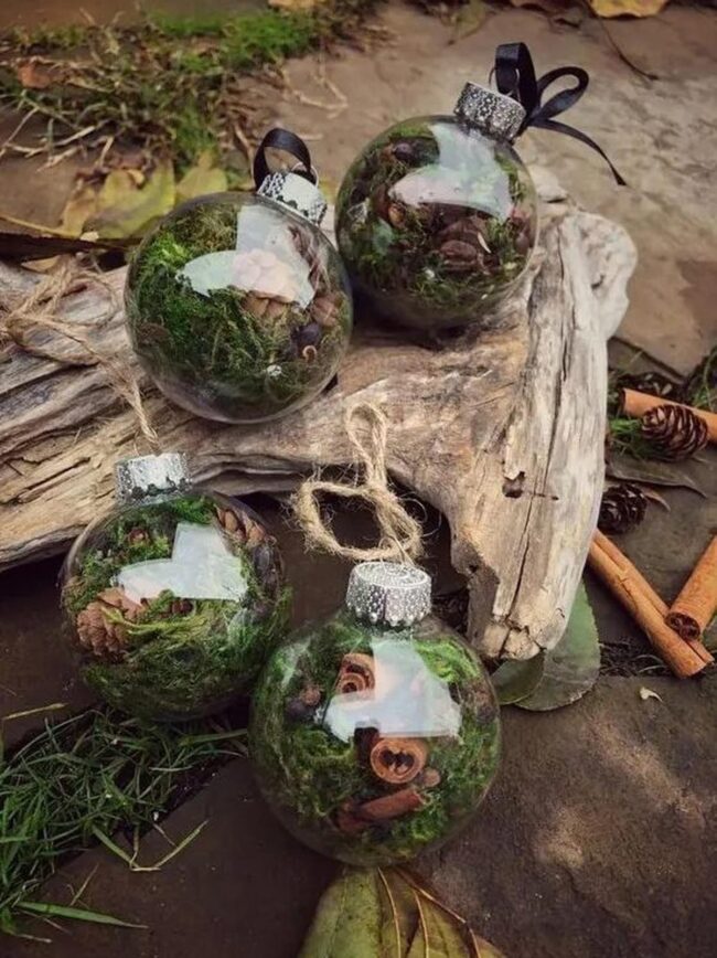 Pine Forest Globes