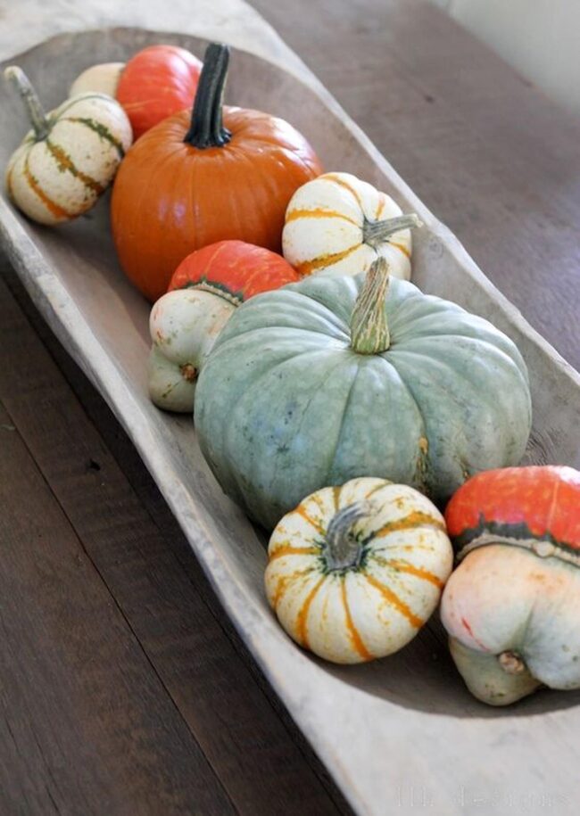 Autumn Pumpkin Canvas