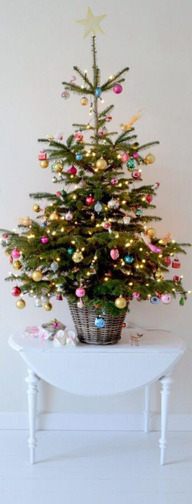 Glowing Pine Festivity