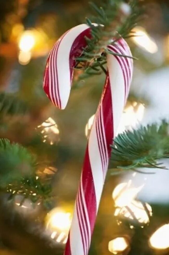 Candy Canes Pine Sparkle