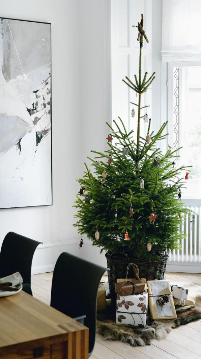 Nordic Pine Festivity